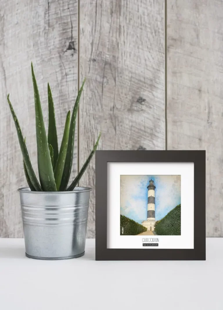 chassiron (Île d'oléron) - Découvrez nos cadres photos uniques, véritables trésors capturés lors de mes voyages à travers le monde. Chaque image, soigneusement sélectionnée et magnifiée en studio, est encadrée avec élégance dans un cadre en bois noir mat de 24x24 cm, d’une épaisseur de 1,5 cm.