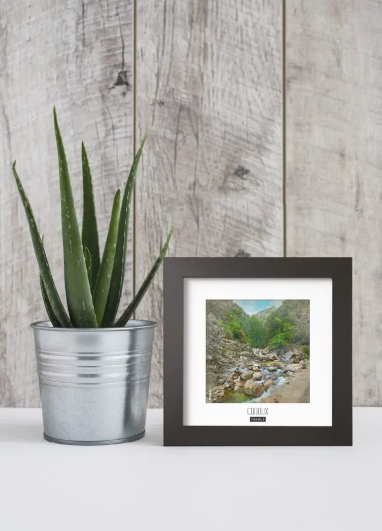 caroux (france) - Découvrez nos cadres photos uniques, véritables trésors capturés lors de mes voyages à travers le monde. Chaque image, soigneusement sélectionnée et magnifiée en studio, est encadrée avec élégance dans un cadre en bois noir mat de 24x24 cm, d’une épaisseur de 1,5 cm.