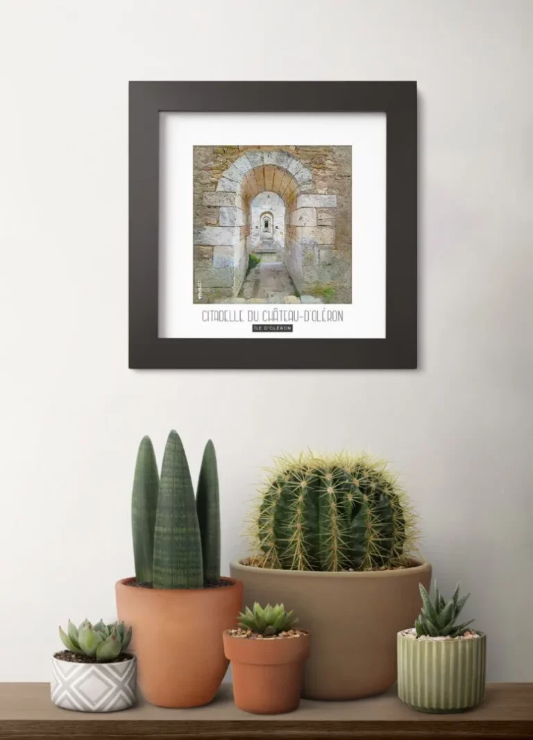 citadelle du château d'oléron (Île d'oléron) - Découvrez nos cadres photos uniques, véritables trésors capturés lors de mes voyages à travers le monde. Chaque image, soigneusement sélectionnée et magnifiée en studio, est encadrée avec élégance dans un cadre en bois noir mat de 24x24 cm, d’une épaisseur de 1,5 cm.