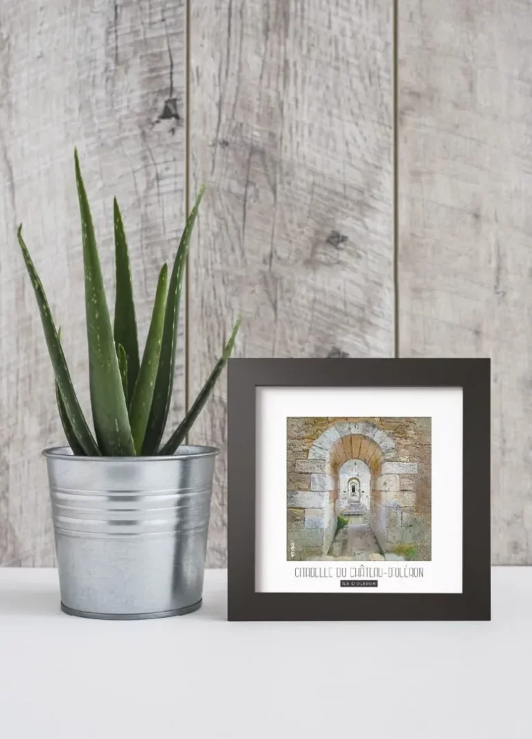 citadelle du château d'oléron (Île d'oléron) - Découvrez nos cadres photos uniques, véritables trésors capturés lors de mes voyages à travers le monde. Chaque image, soigneusement sélectionnée et magnifiée en studio, est encadrée avec élégance dans un cadre en bois noir mat de 24x24 cm, d’une épaisseur de 1,5 cm.