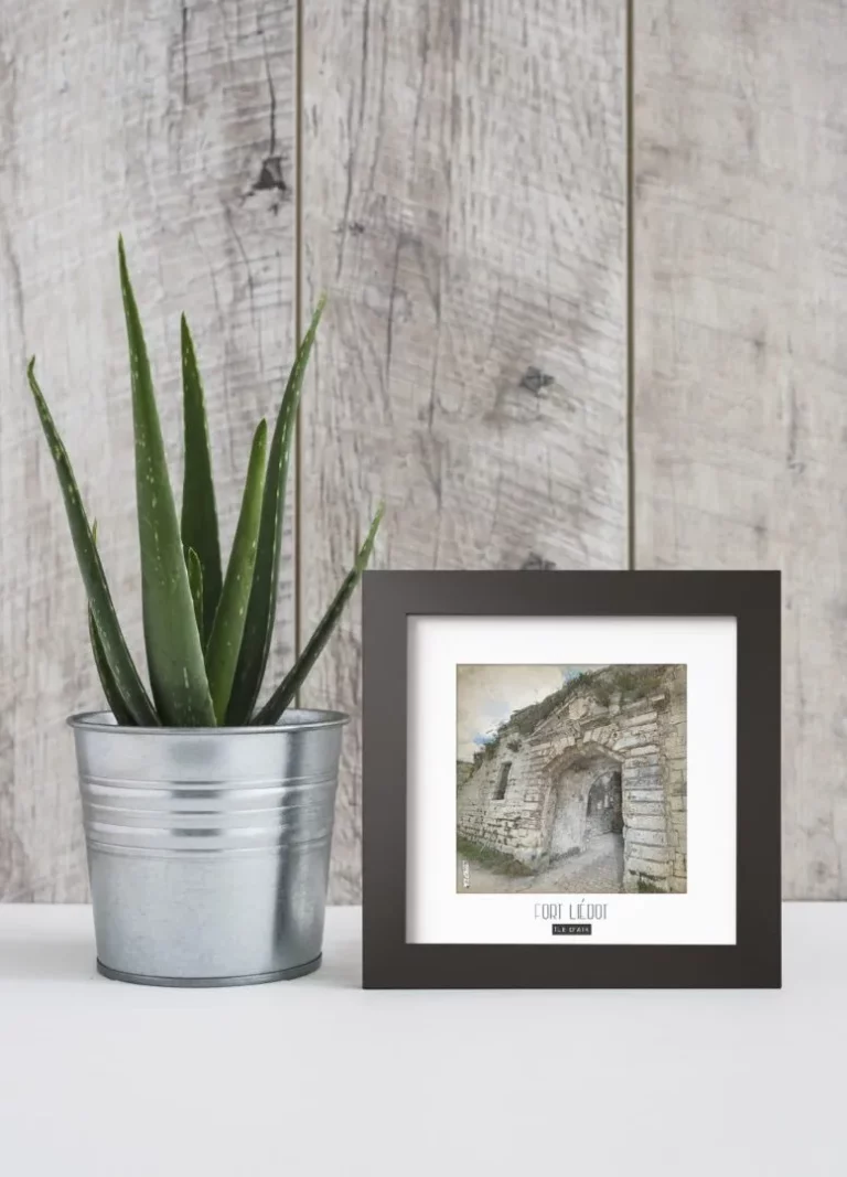 fort liédot (île d'aix) - Découvrez nos cadres photos uniques, véritables trésors capturés lors de mes voyages à travers le monde. Chaque image, soigneusement sélectionnée et magnifiée en studio, est encadrée avec élégance dans un cadre en bois noir mat de 24x24 cm, d’une épaisseur de 1,5 cm.