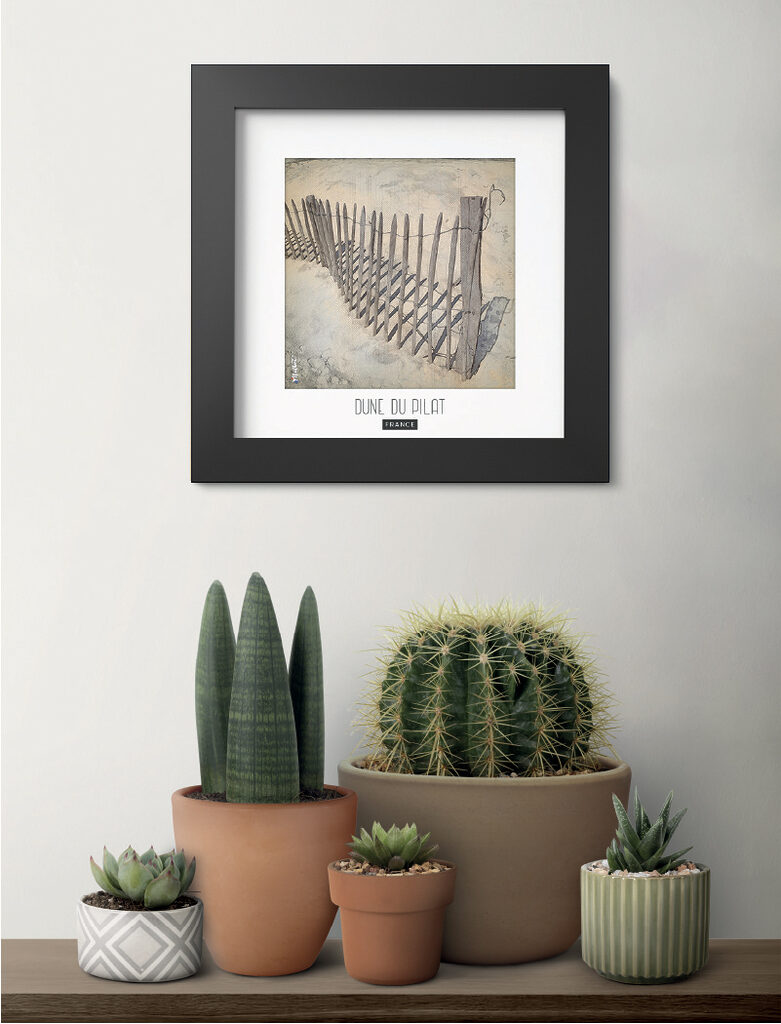 Top 5 des idées déco murale pour un intérieur naturel et minimaliste