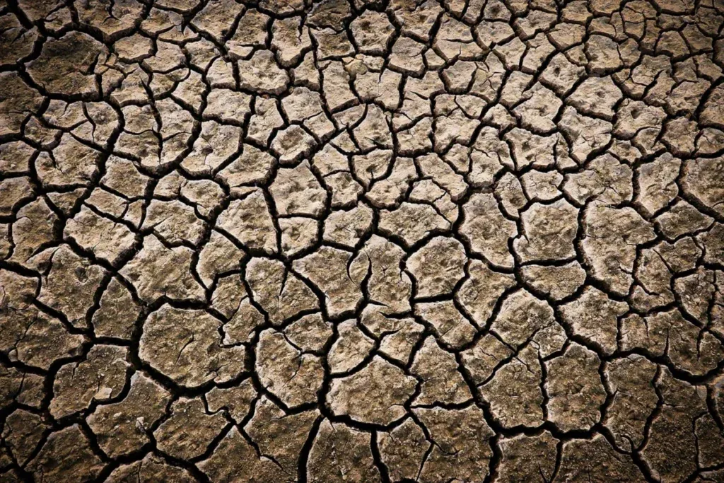 Terre aride et craquelée par la sécheresse vue de dessus.